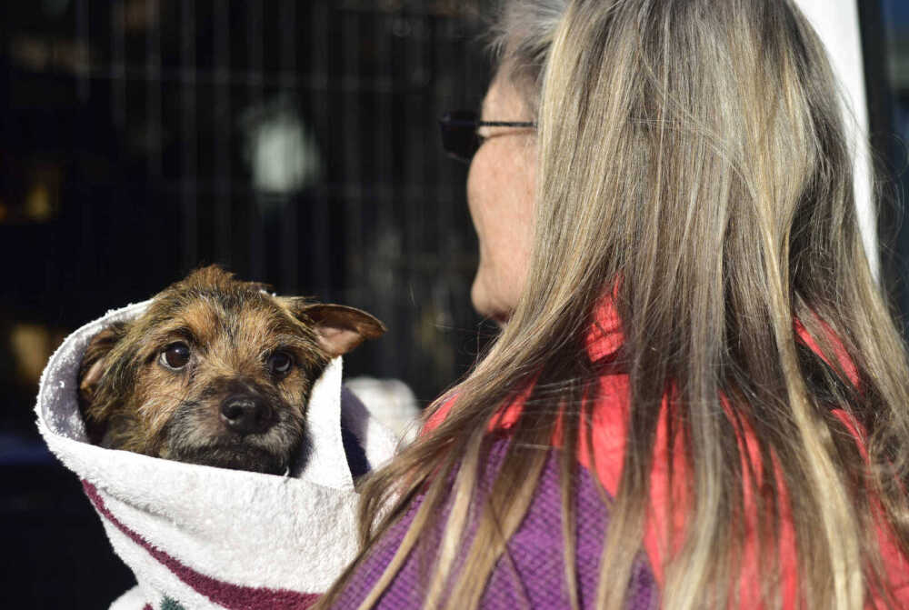 Humane Society seeks donations for matching gift challenge (Sponsored)